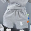 Boys' Dinosaur 2-Piece Matching Set