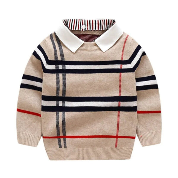 46_12_02a0953d-0e03-483d-aee4-0dd505b7f310.jpg Boy's Plaid Sweater with Removable Collar