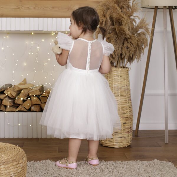 Z0A0028.jpg Flower Girl Tulle Girls' Dress