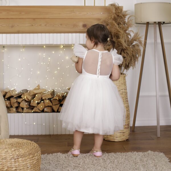 Z0A0029.jpg Flower Girl Tulle Girls' Dress
