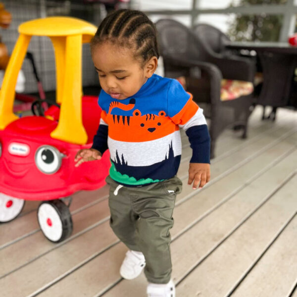 animals_1.jpg Animal Knit Boys' Sweater