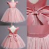 FLOWER GIRL Dress With a Fluttery Tulle Skirt